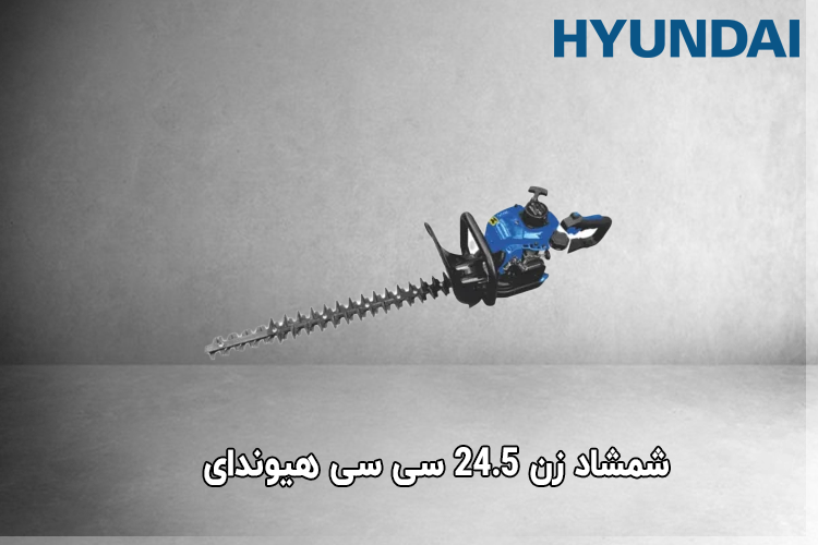 شمشاد زن 24.5 سی سی هیوندای