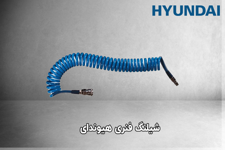 شیلنگ