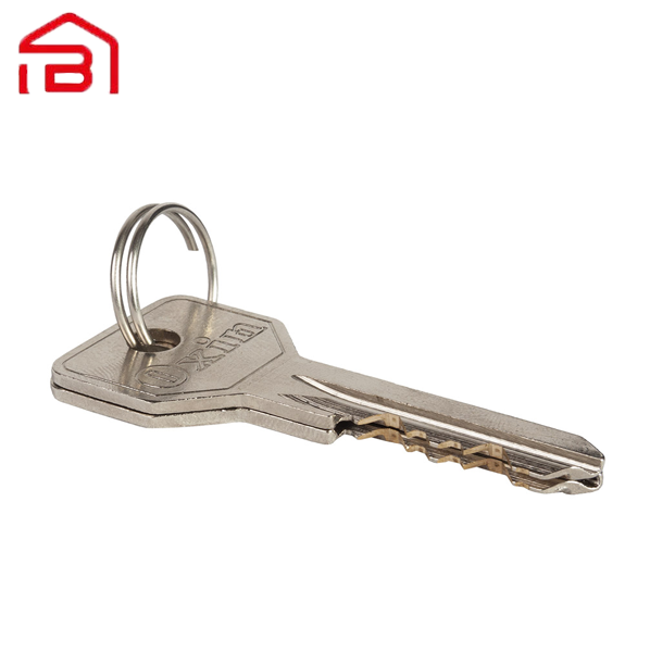 قفل برقی پارکینگی 2کلیدمعمولی اکسیناژ مدل 102005